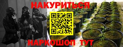ECSTASY Ирбит
