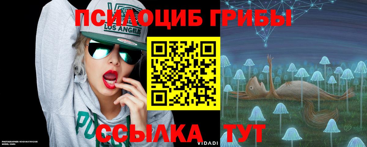 Галлюциногенные грибы прущие грибы  Вход с VPN  Луга 
