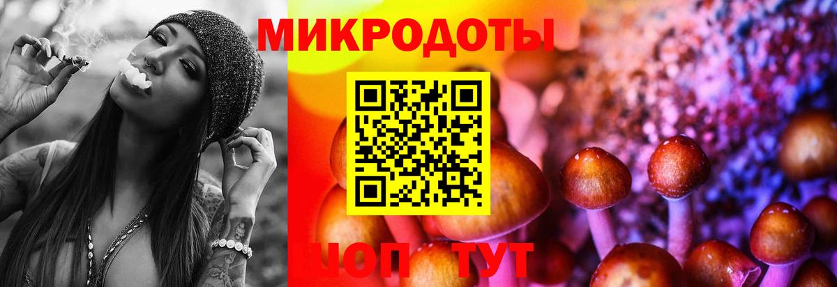 Галлюциногенные грибы мицелий Луга